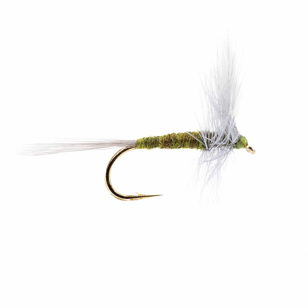 Blue Winged Olive