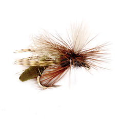 Spotlight Caddis Emerger