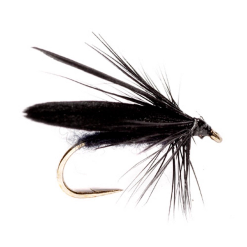 Slow Water Caddis