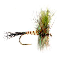 Eastern Green Drake