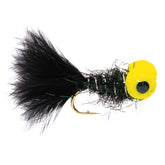 Big-Eyed Panfish Bug