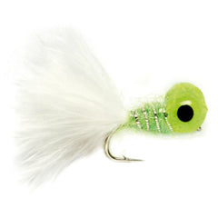 Big-Eyed Panfish Bug