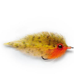 Puglisi Bluegill
