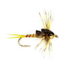 Tunghead Stonefly