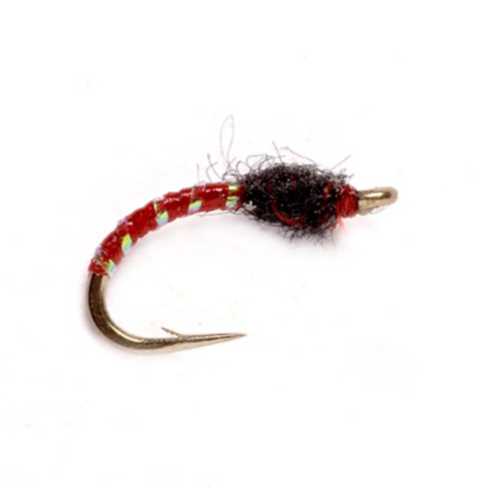 Disco Midge Larva