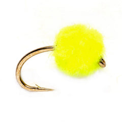 Egg Fly