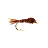 English Pheasant Tail