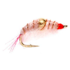 Bead Body Scud