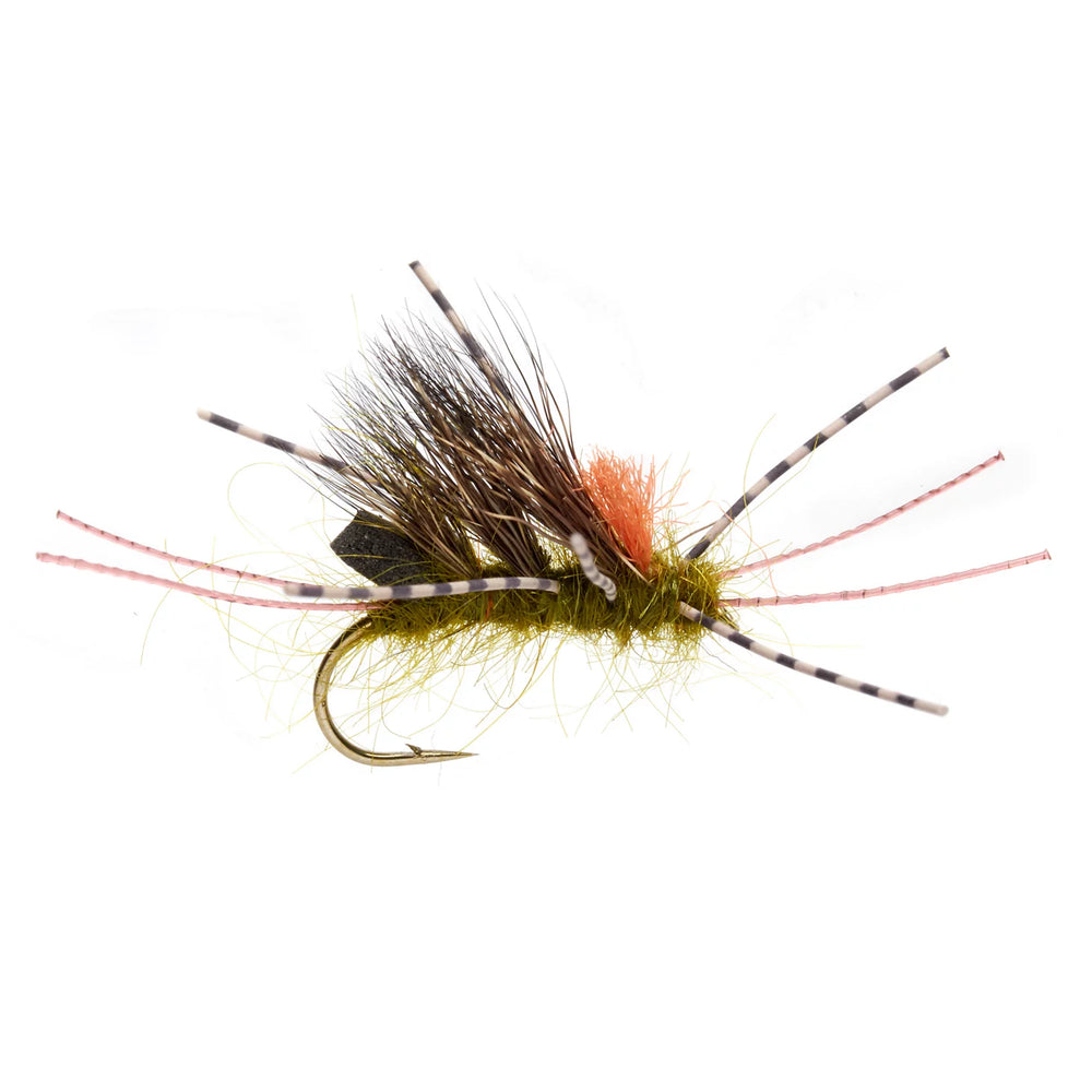 Burkus' Sedgeback Skwala