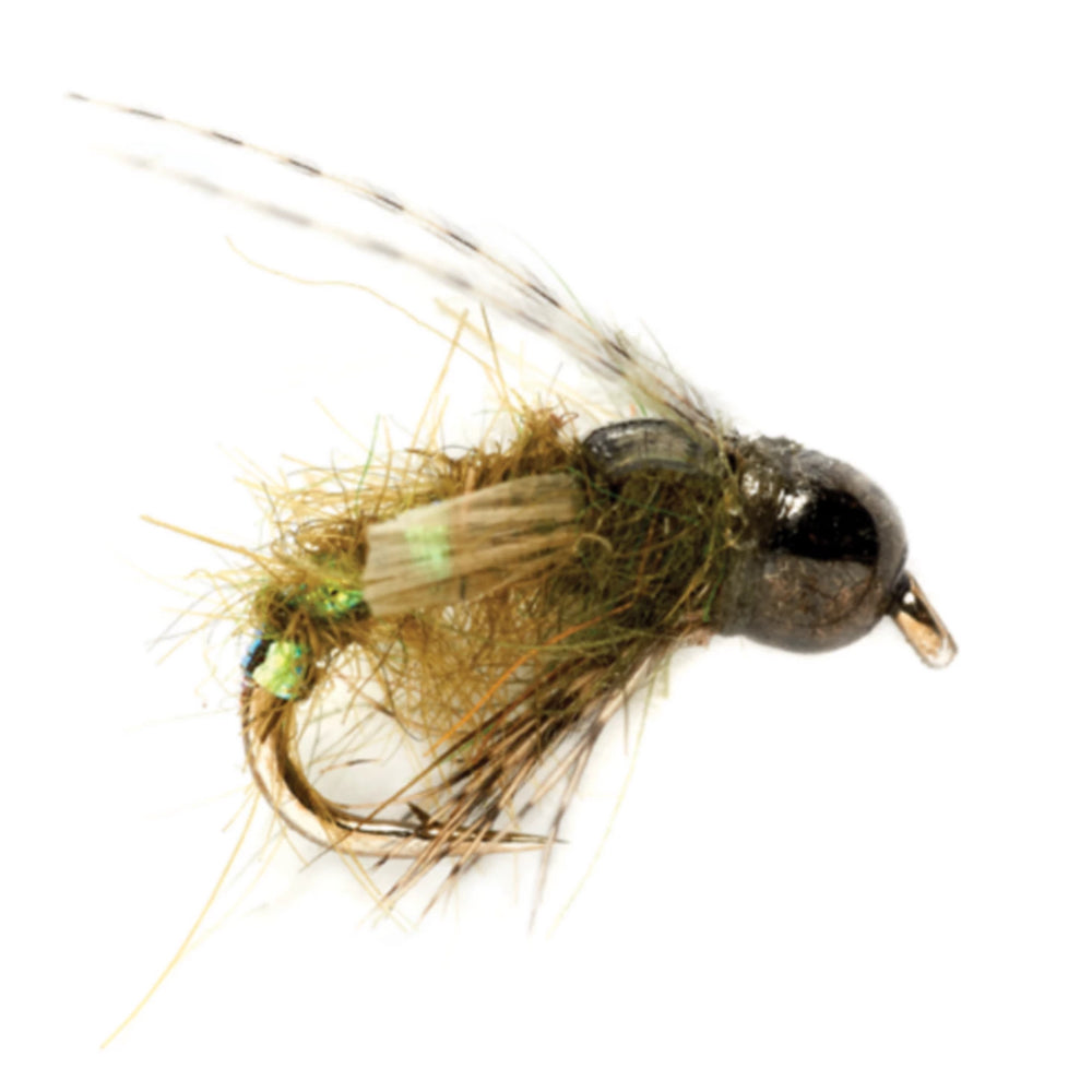 Thrift Shop Caddis