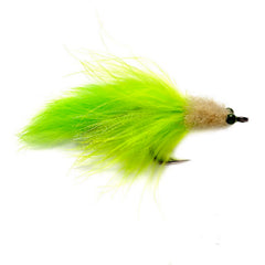 Tarpon Toad