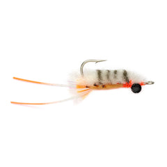Vlahos' Marbled Sand Flea