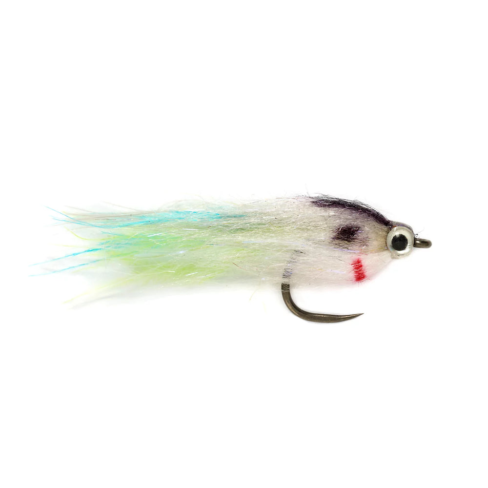 Baby Fat Minnow