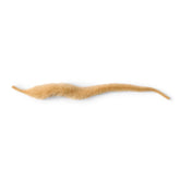 Mangum's Dragon Tail
