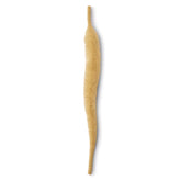 Mangum's Mini Dragon Tail