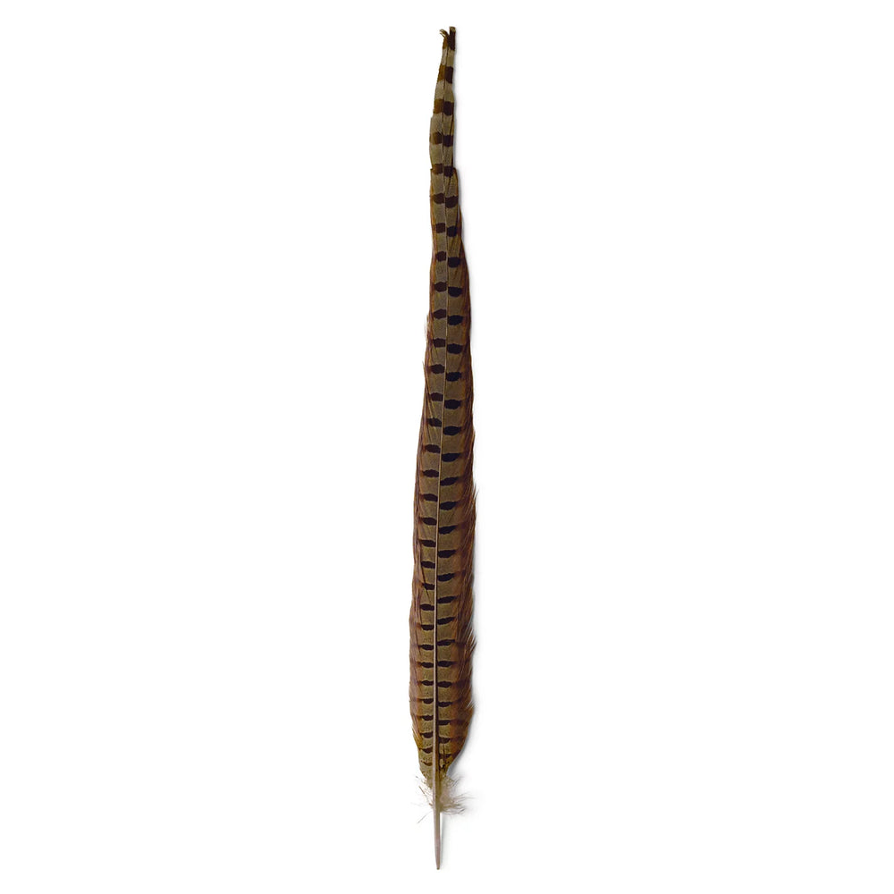 Pheasant Tail