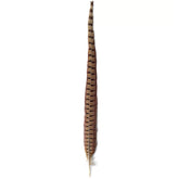 Pheasant Tail