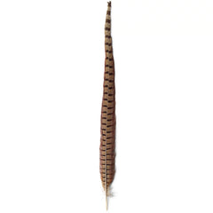 Pheasant Tail
