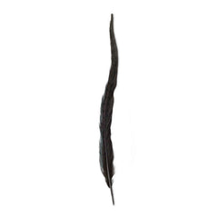 Pheasant Tail