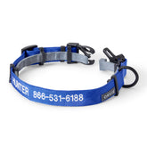 Orvis Personalized Flea & Tick Compatible Dog Collar