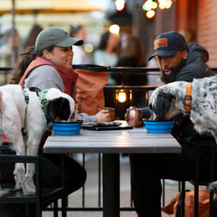 Tough Trail® Collapsible Dog Bowl
