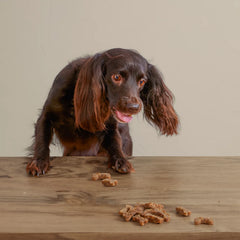 Polkadog Green Monstah Bones