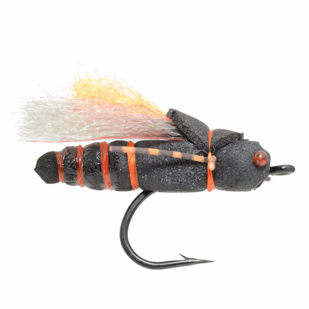 Project Cicada