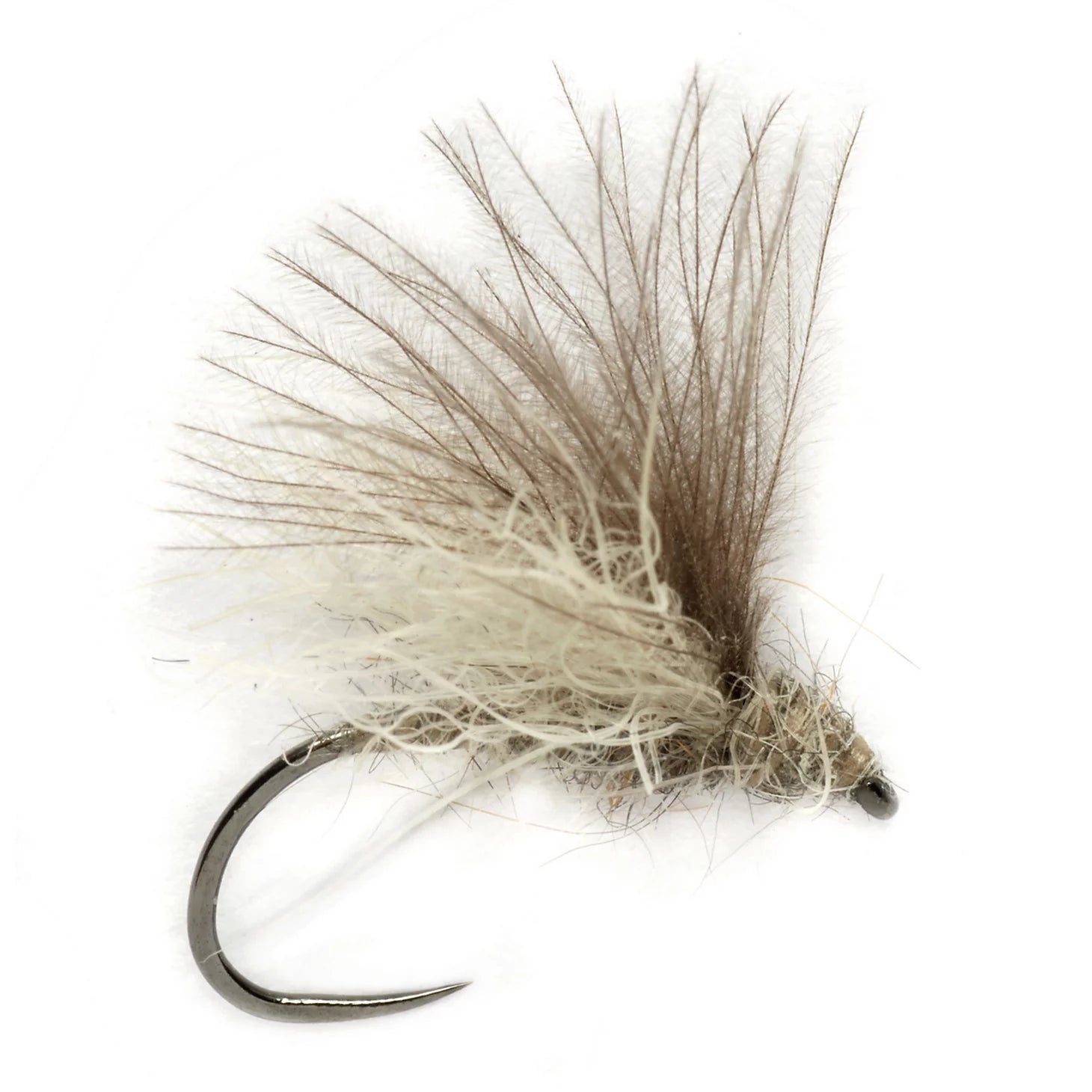 Tom Rosenbauer's Eck Caddis