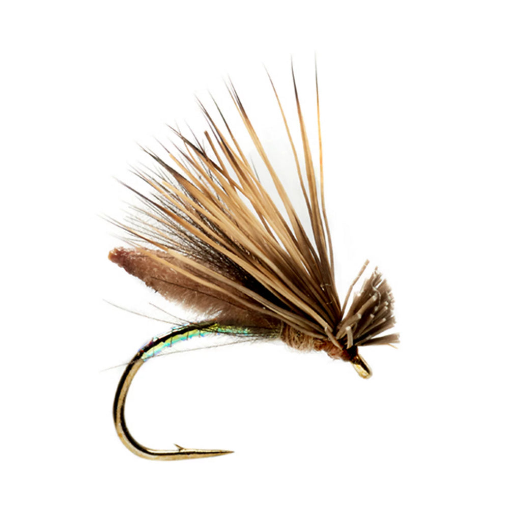 Palomino Caddis