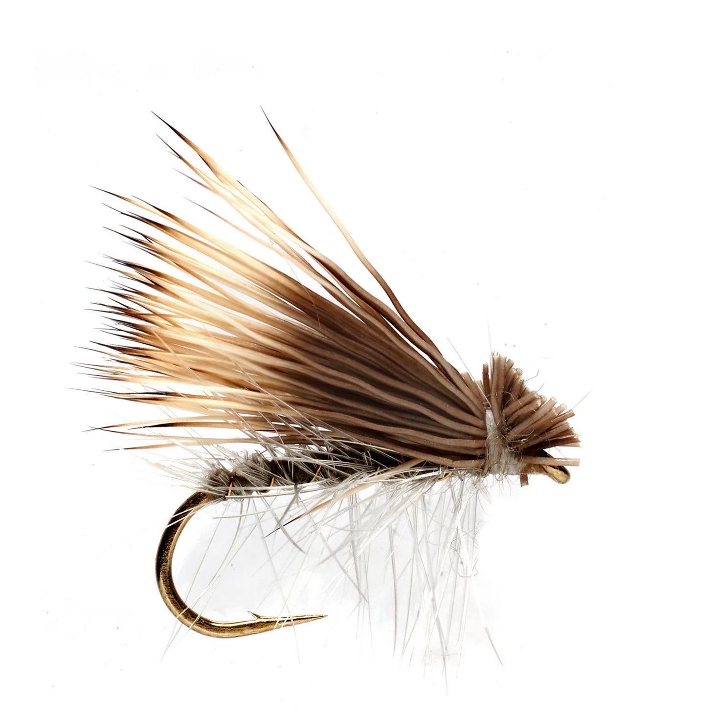 Elk Wing Caddis