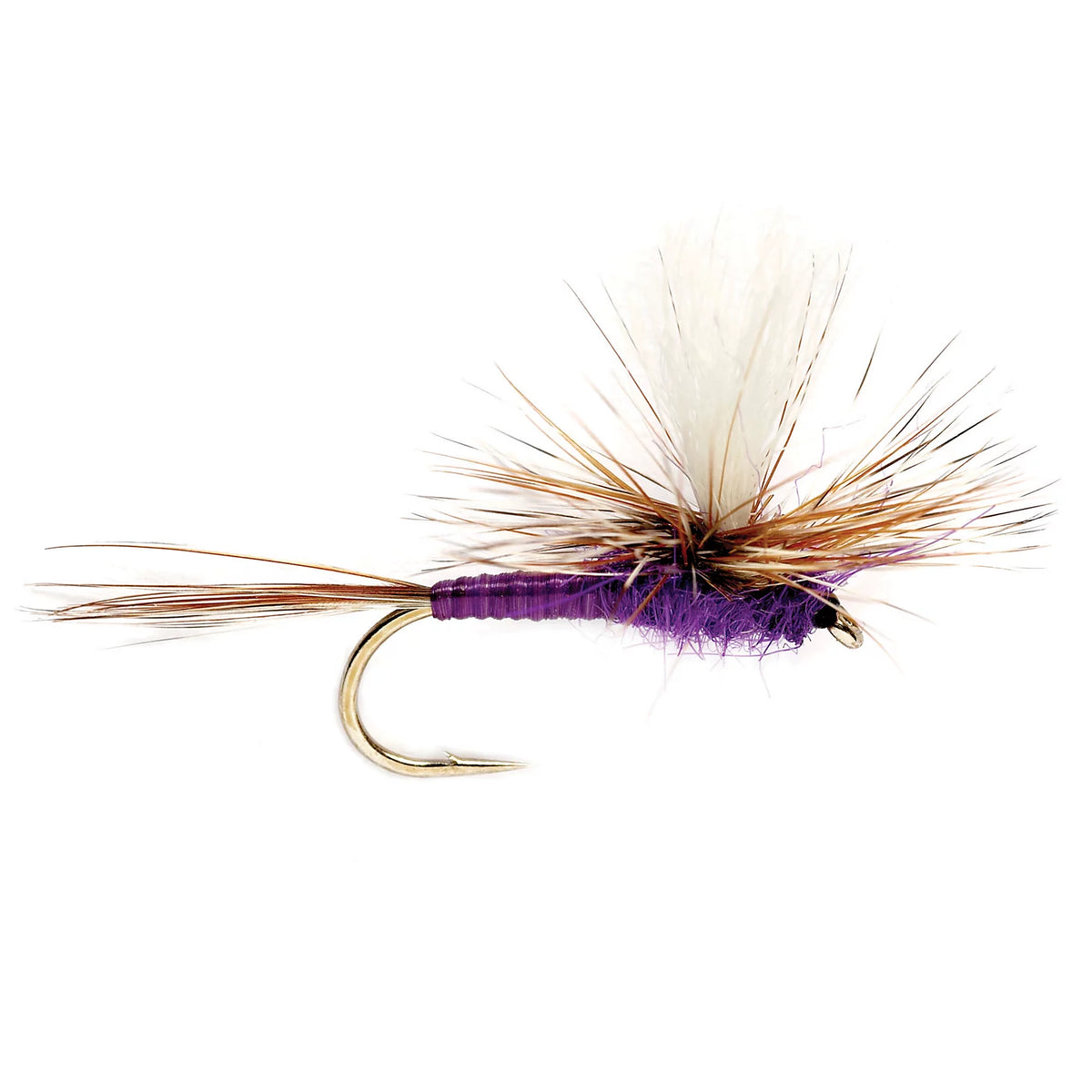 Adam's Purple Parachute