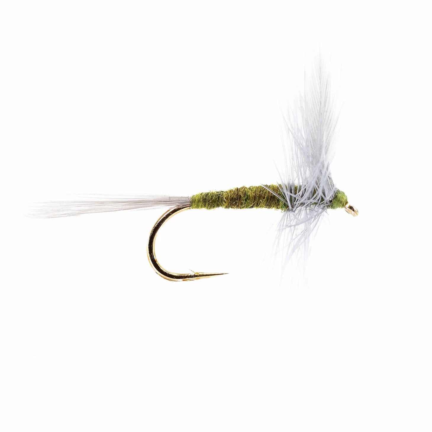 Blue Winged Olive