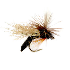 Spotlight Caddis Emerger