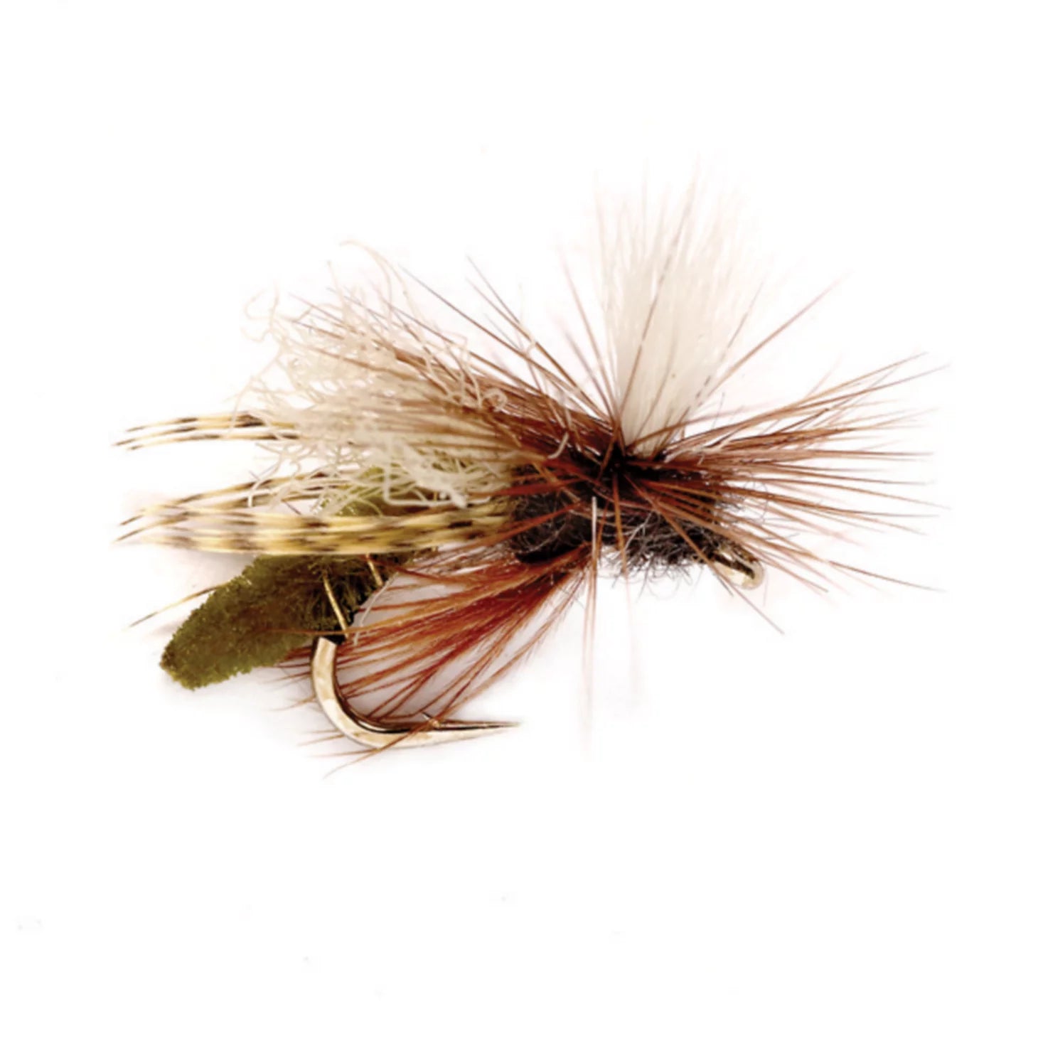 Spotlight Caddis Emerger