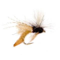 Spotlight Caddis Emerger