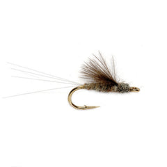 RS2