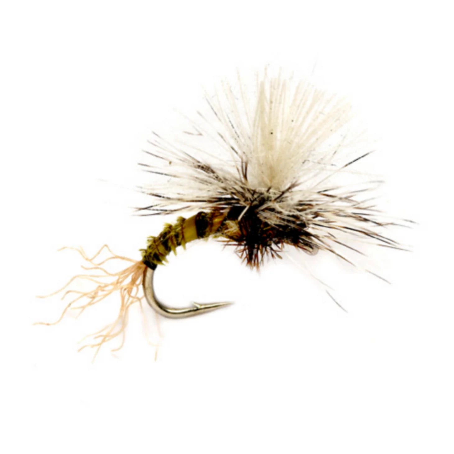 Birchell's Hatching Midge