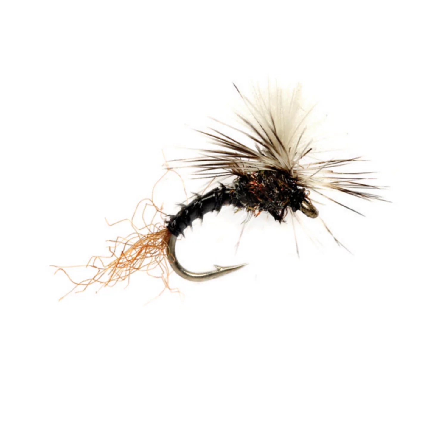 Birchell's Hatching Midge