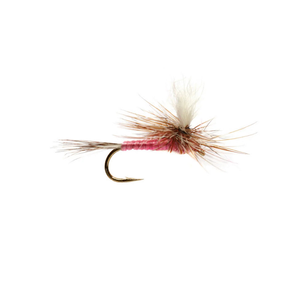 Pink Parachute Adams