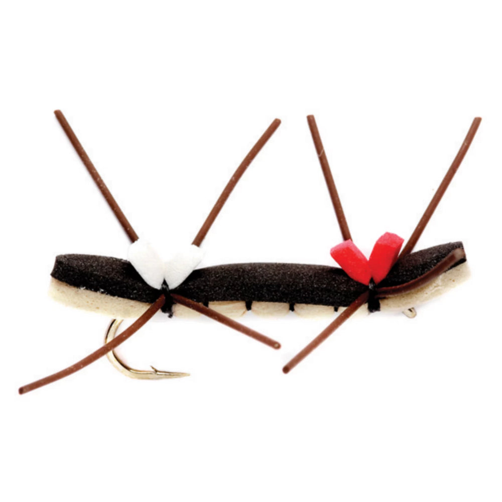 Chernobyl Ant