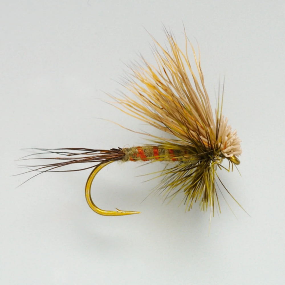 Hairwing Western Green Drake