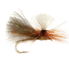 NBK Caddis Dry