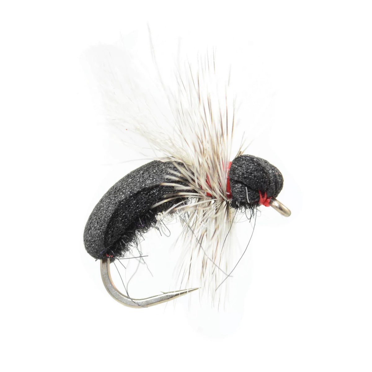 Black Toast Ant