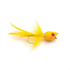 Bluegill Bug