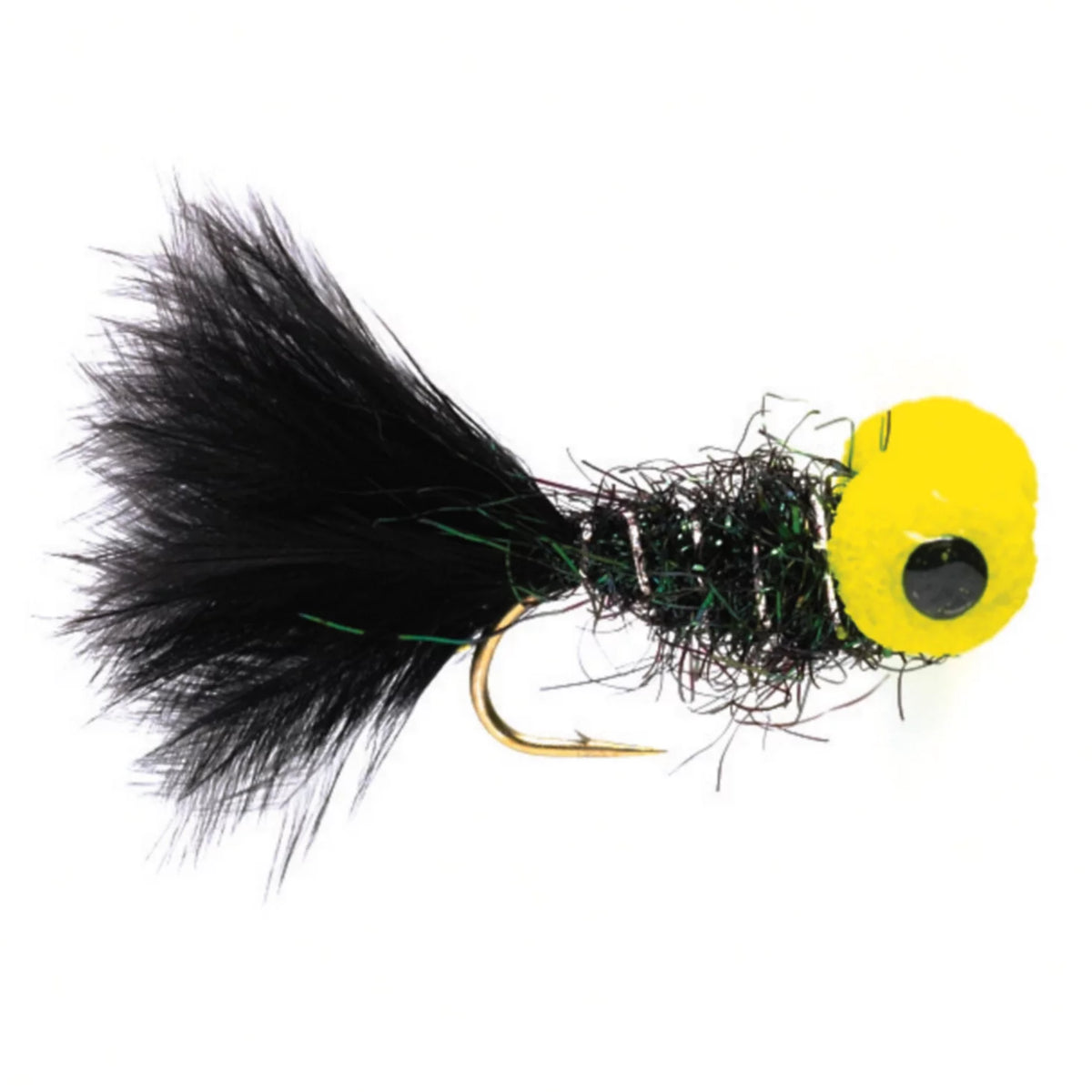 Big-Eyed Panfish Bug