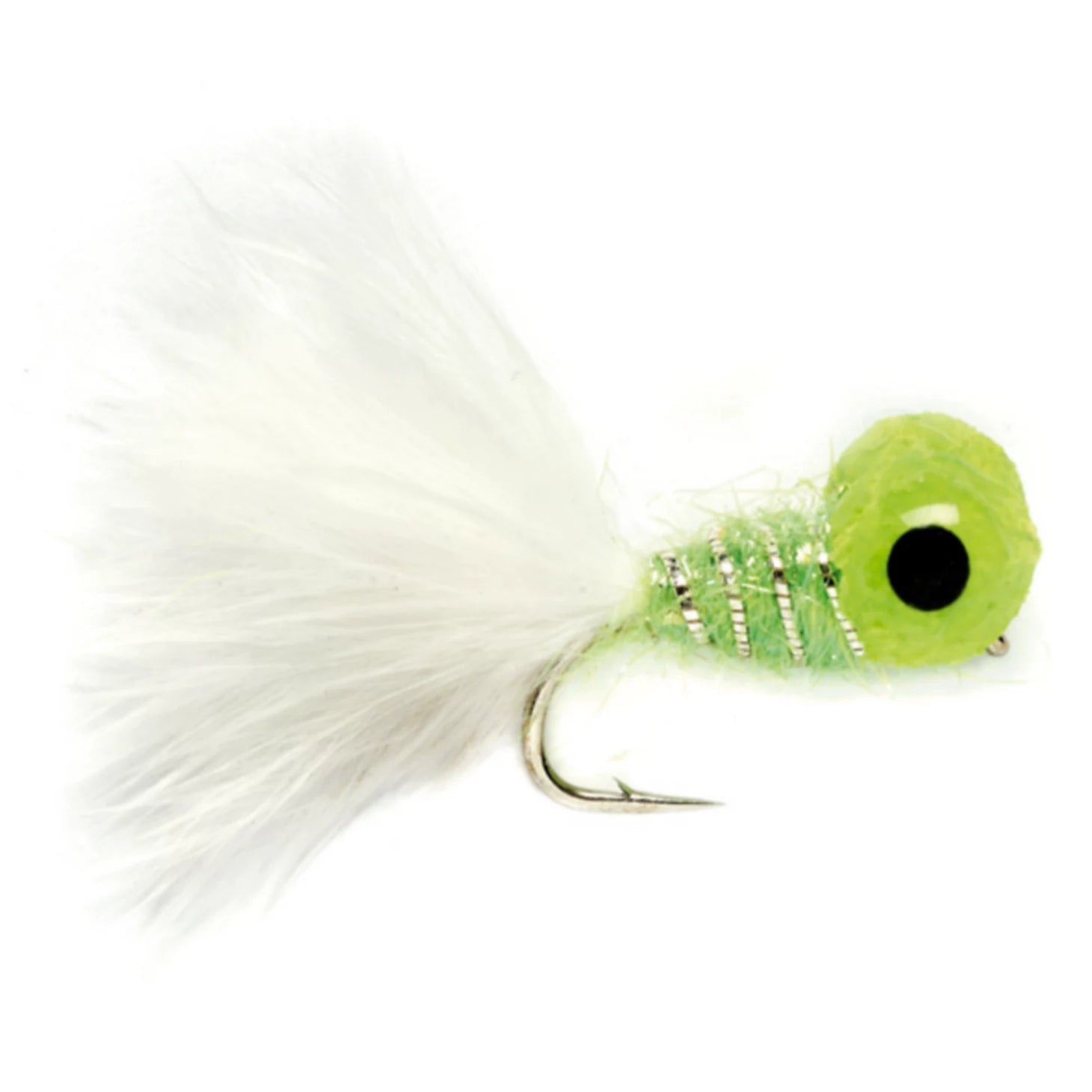 Big-Eyed Panfish Bug