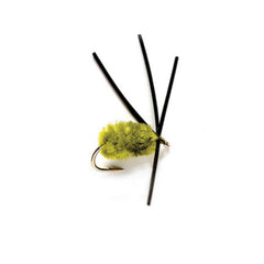 Bully Bluegill Spider