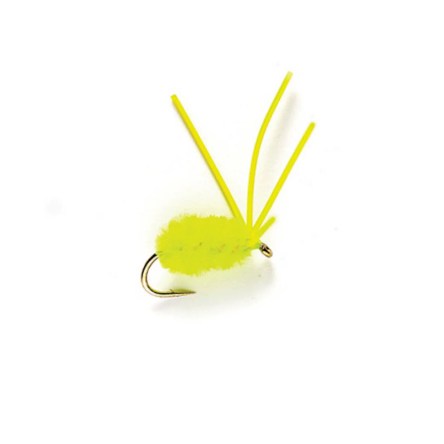 Bully Bluegill Spider
