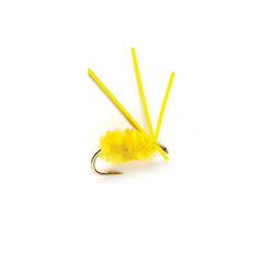 Bully Bluegill Spider