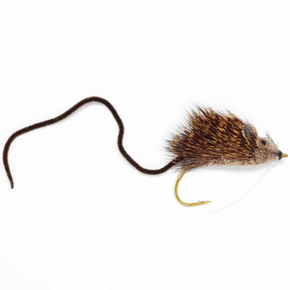 Mouse Rat